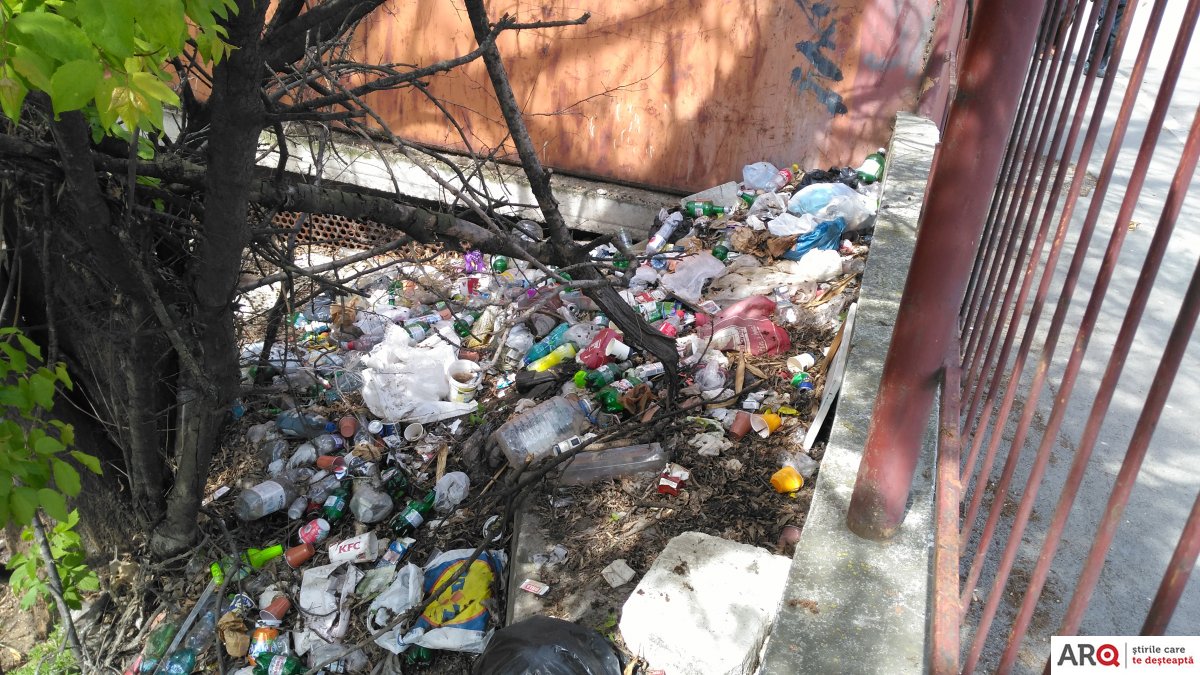 FOTO | Mirosul nu ajunge la ANIF, iar gunoiul nu se vede din birouri. Mureșelul, o pată pe imaginea orașului