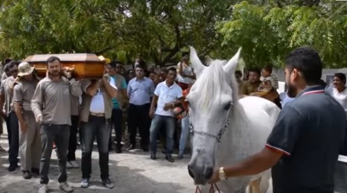 Un cal a fost adus la înmormântarea stăpânului său! Oamenii au rămas muţi de uimire când au văzut ce face animalul
