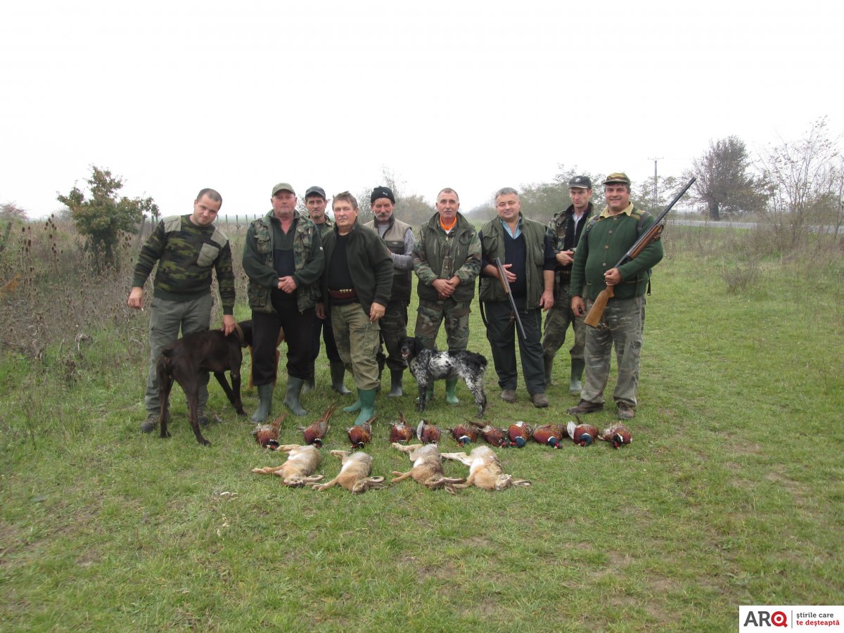 Vânătoare de fazani şi iepuri la Pâncota (FOTO)