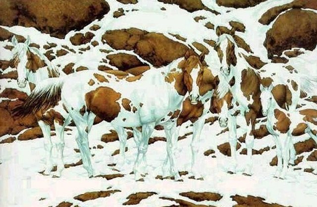 Dilemă pe internet în legătură cu o fotografie virală. Câţi cai se află în imagine?