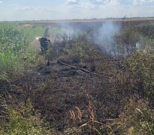 Incendiu la un lan de grâu în localitatea Turnu la ieșirea spre orașul Pecica