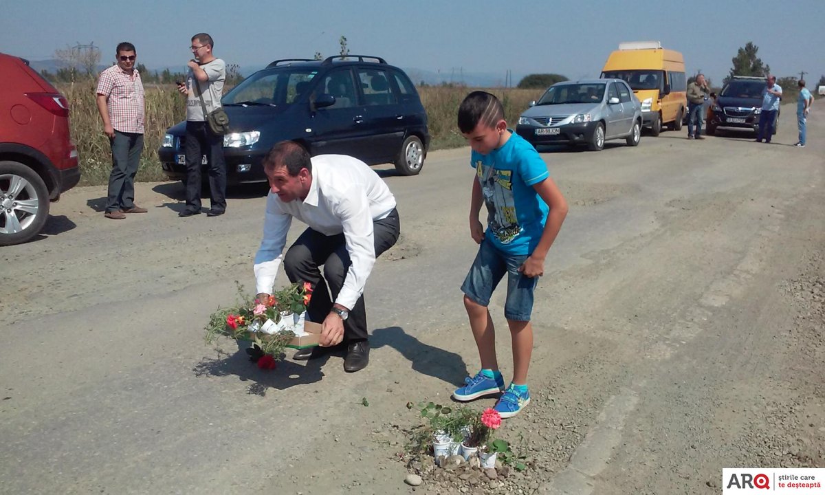 Protest inedit în Arad. Flori plantate în locul gropilor (FOTO)
