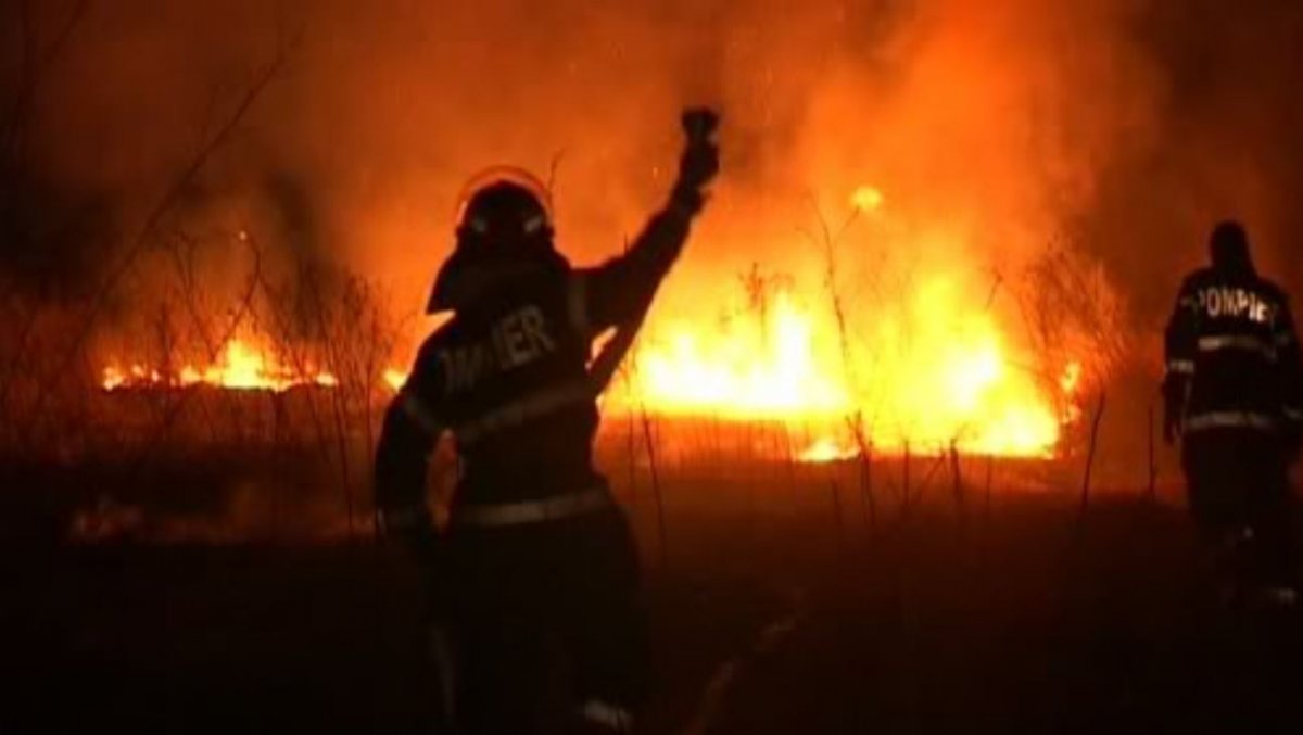 S-a dezlănțuit iadul la Șeitin. Au ars 70 de hectare de porumb nerecoltat