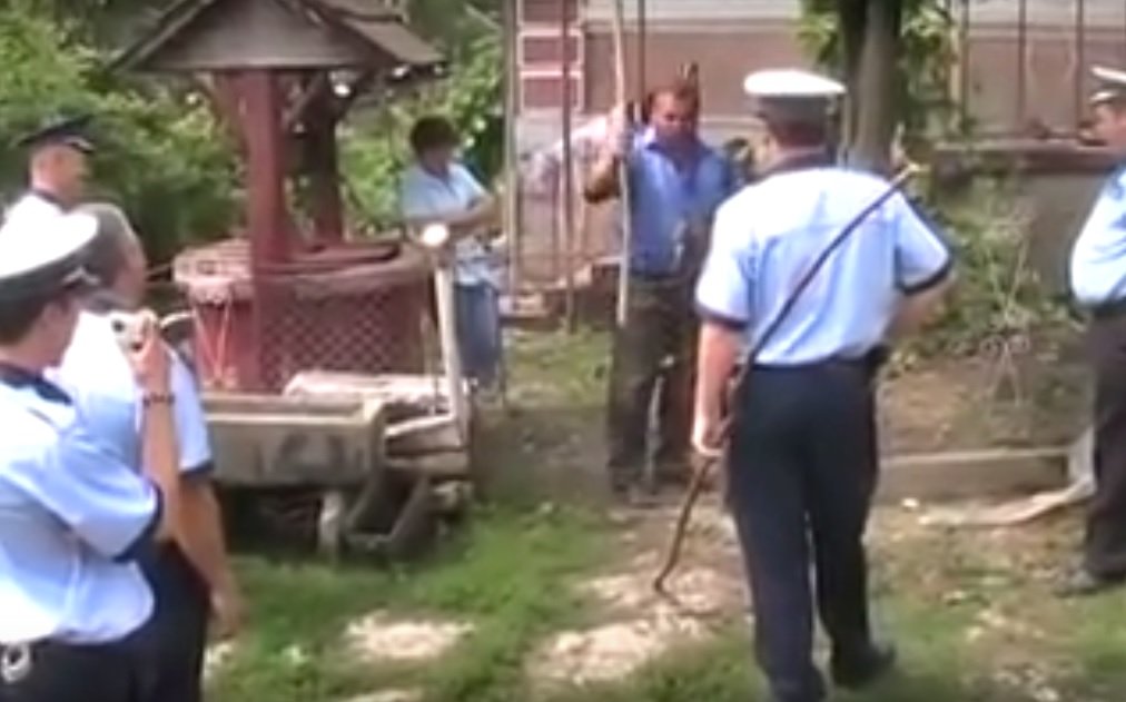 Mai mulţi poliţişti se chinuie să pună la pământ un bărbat care-i ameninţă cu o bâtă (VIDEO)
