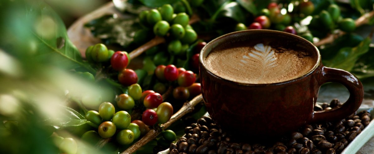 Ce poţi păţi dacă bei mai multe ceşti de cafea pe zi. Este grav