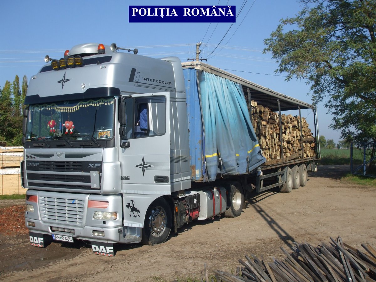 Trafic cu material lemnos, în Arad. Polițiștii au confiscat lemn de aproape 2.000.000 de lei