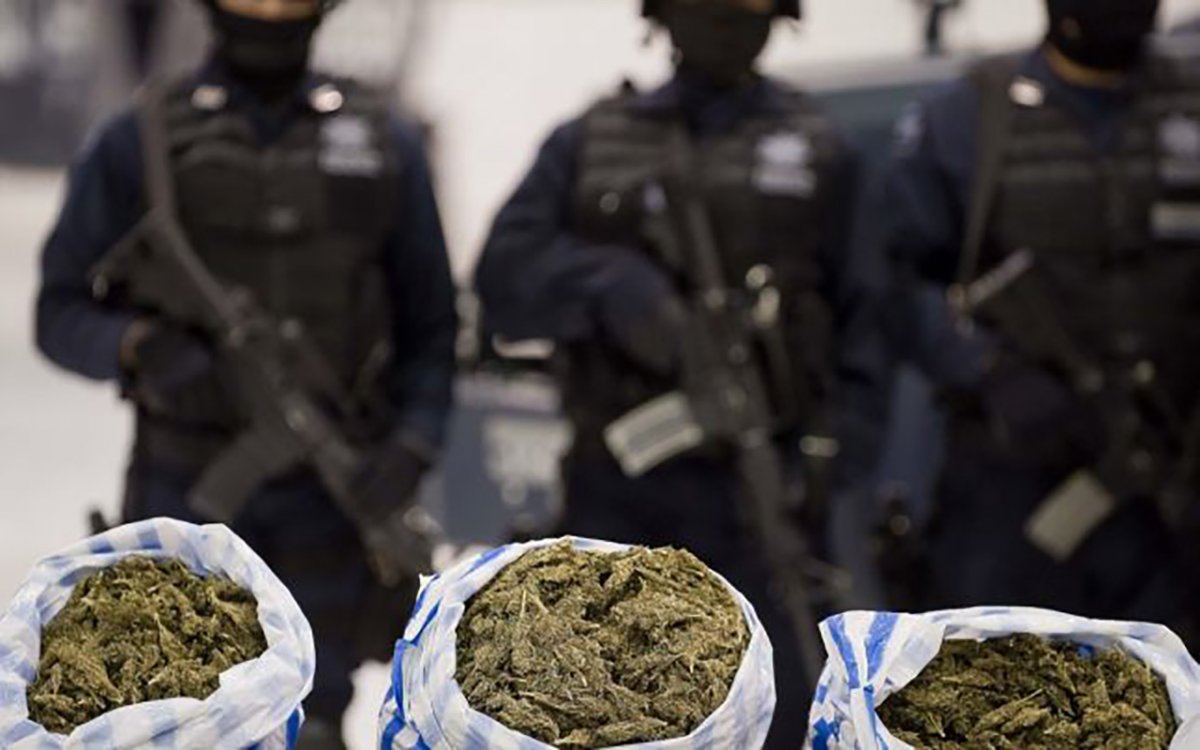 Membrii unei grupări de traficanți de droguri, arestați. Vindeau în Arad cannabis, ecstasy si amfetamina