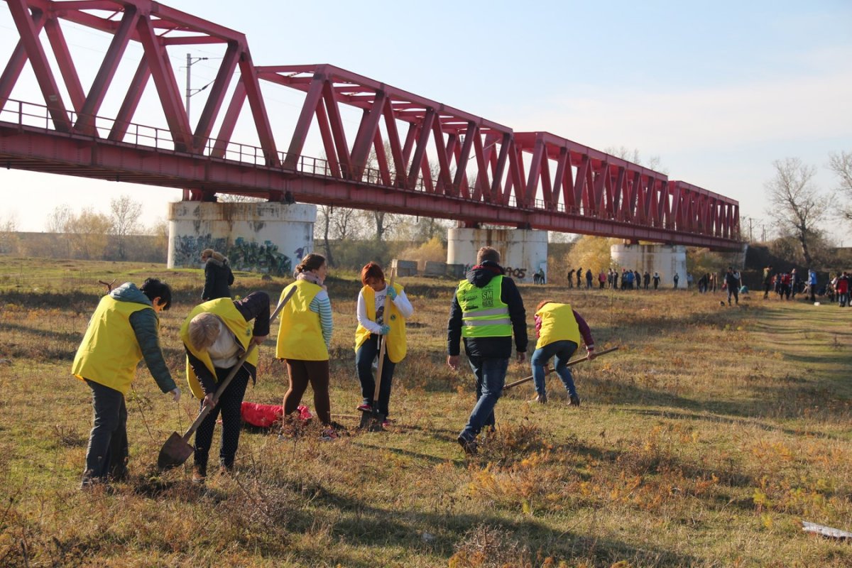 Amplă acțiune de plantare de puieți în organizarea UVVG și Asociația Euromediu