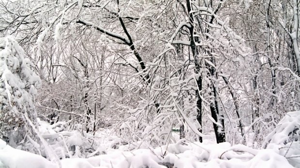 PROGNOZA METEO pe două săptămâni. Cum va fi vremea de alegeri