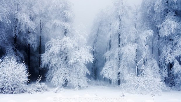 Cea mai scăzută temepratură din această iarnă, în România. S-au înregistrat minus 23,4 grade Celsius