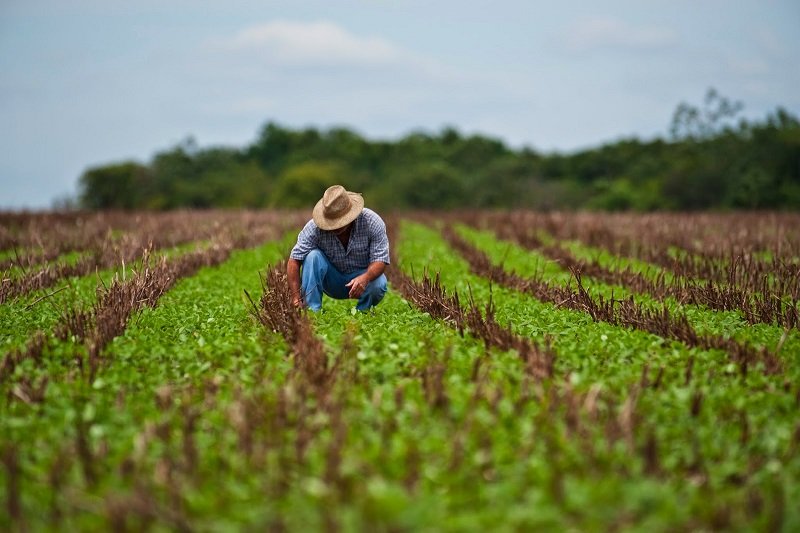 Sesiune prelungită pentru finanţarea agriculturii