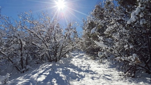 PROGNOZA METEO 9-22 ianuarie 2017. Cum va fi vremea în următoarele două săptămâni şi unde va mai ninge