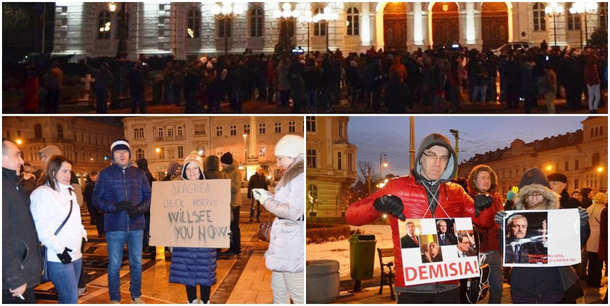 PROTESTE LA ARAD: Unii participanți, însoțiți de câini. Vezi ce mesaj au vrut să transmită