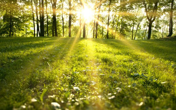 PROGNOZA METEO. Vreme frumoasă de FLORII