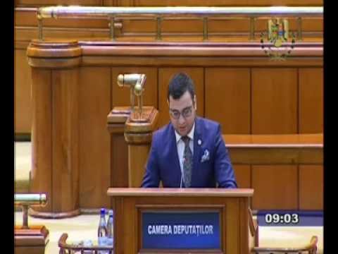 Monumentul Marii Uniri, în Plenul Camerei Deputaţilor din Parlamentul României