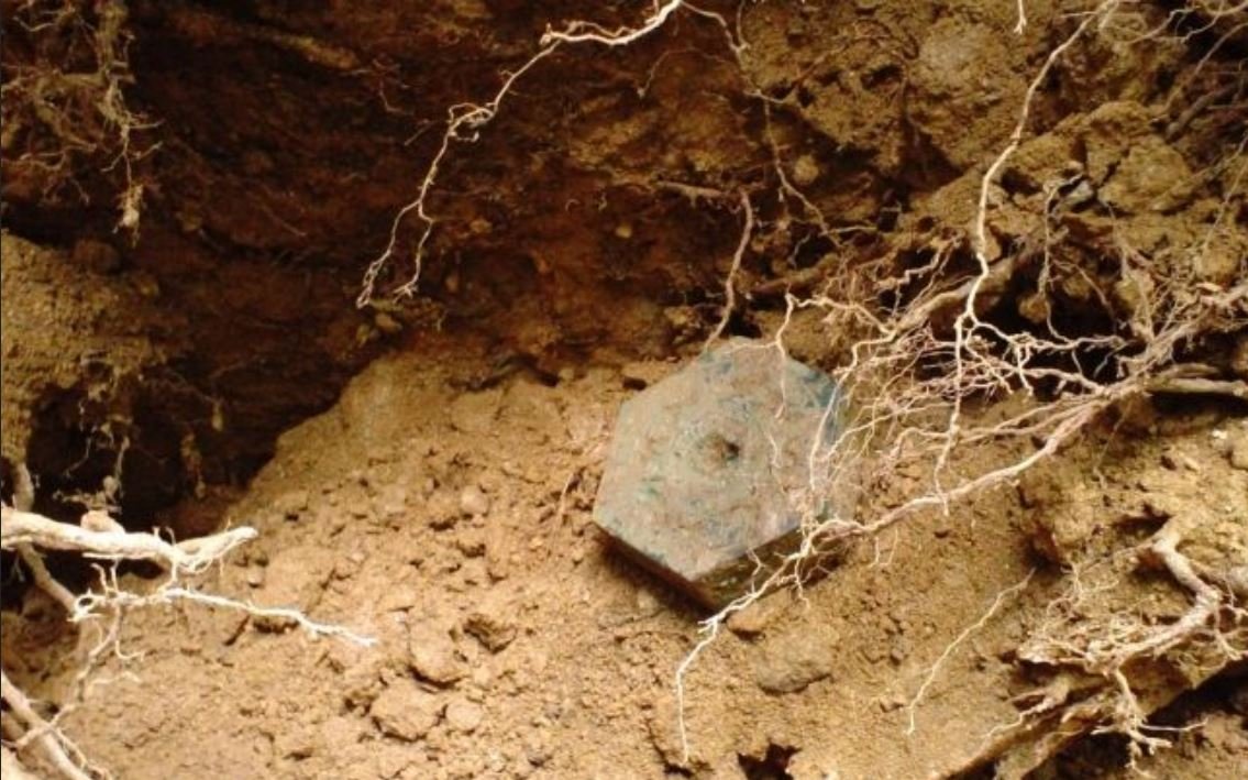 FOTO | Femeia din Arad care ar fi descoperit un obiect vechi de 2.000 de ani, audiată la tribunal
