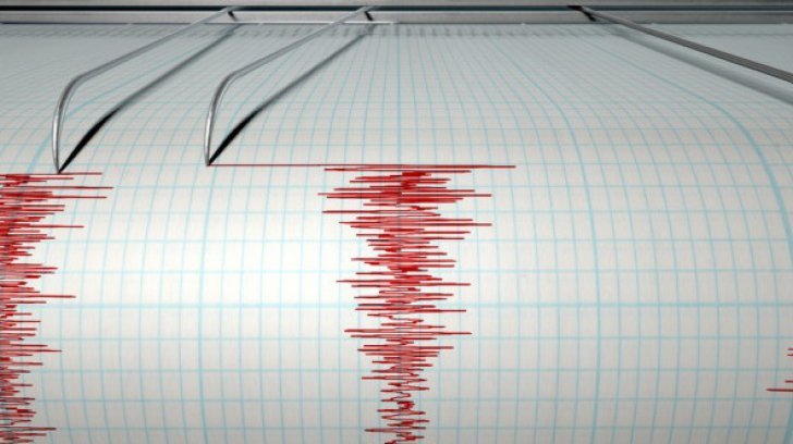 Cutremur de 4,4 în Vrancea