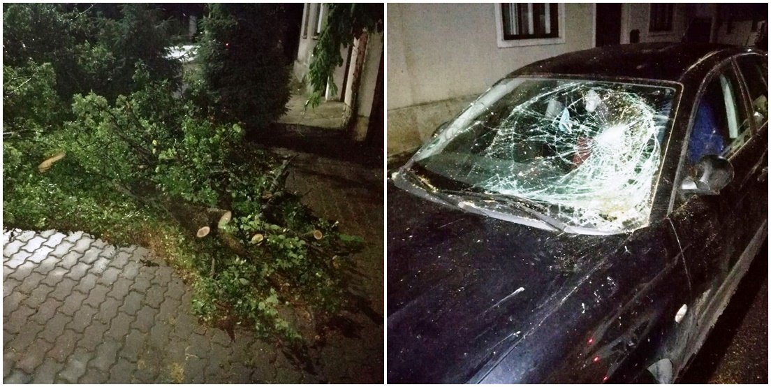 FOTO | Furtuna din Arad: Mașini avariate de copaci rupți, acoperișuri fără țigle, case fără curent