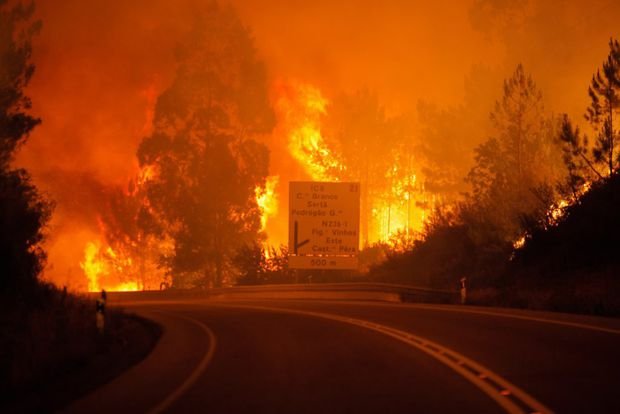 Trei zile de doliu național în urma incendiilor din Portugalia, soldate cu 62 de morți