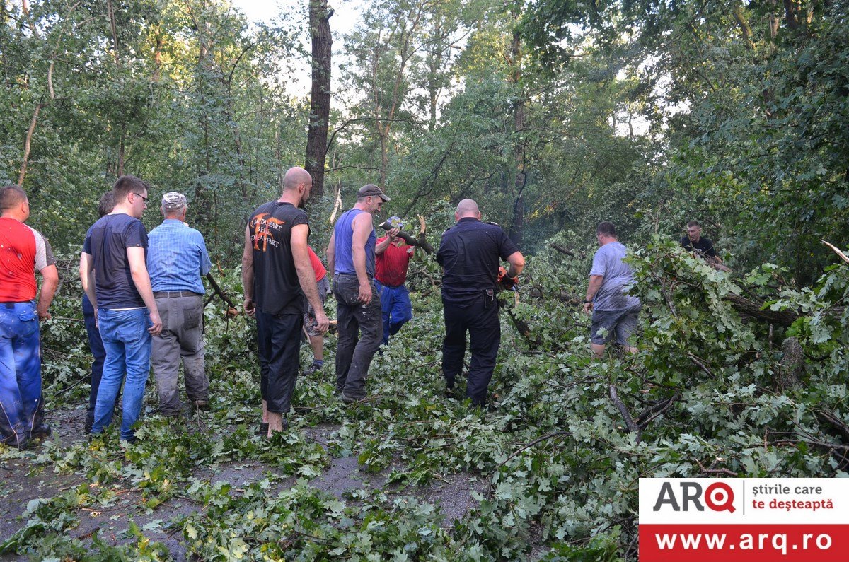 Măsurile luate de Primăria Arad imediat după furtună