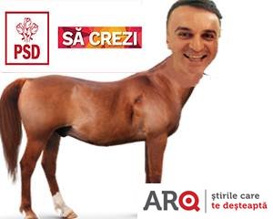 ConsIlierul PSD Ilie Cheșa ar trebui dus la veterinar