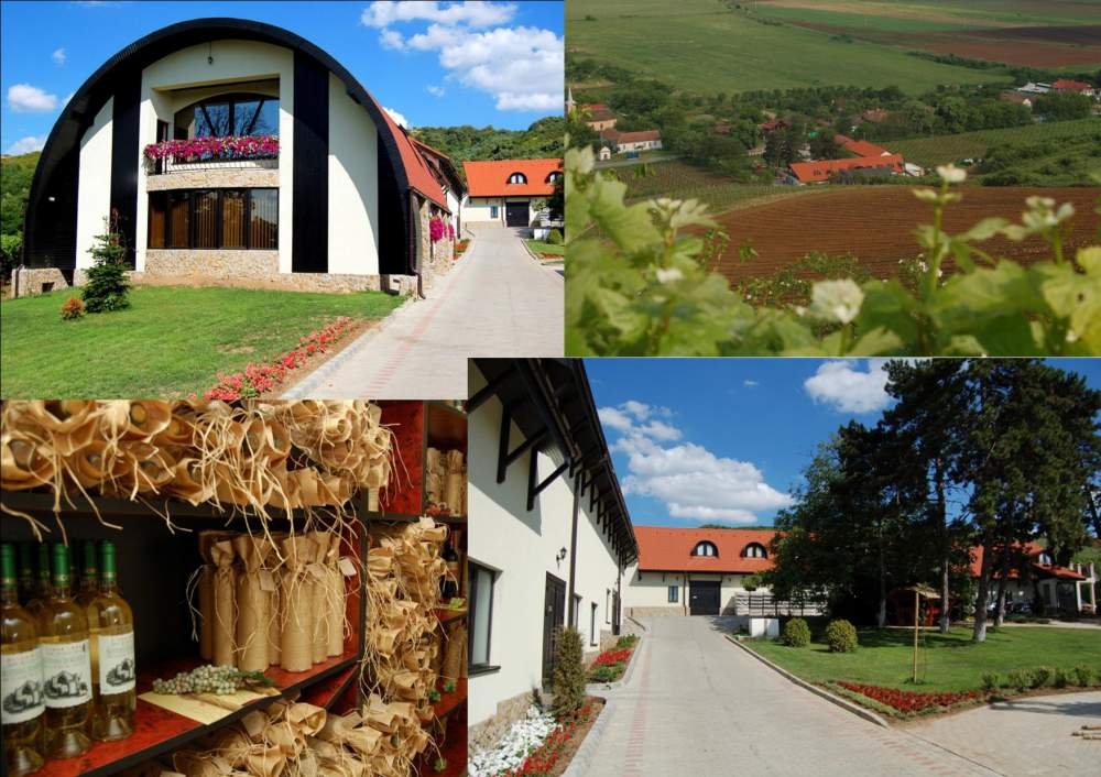 Kaufland arad micălaca arad Kaufland arad micălaca arad