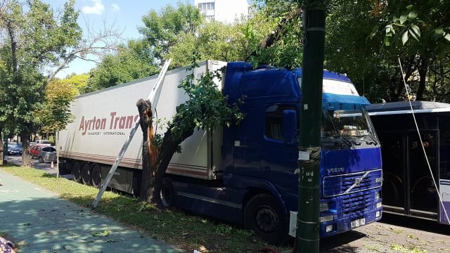 Un copac s-a prăbuşit peste un tir, înmatriculat în Arad, în centrul Timişoarei