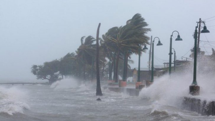 Mărturiile unui român stabilit în Florida! De ce a ales să rămână în calea uraganului Irma