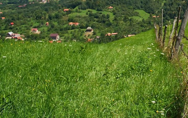 Sentinţa prin care localnicii au pierdut satul Nadăş, din judeţul Arad, schimbată total