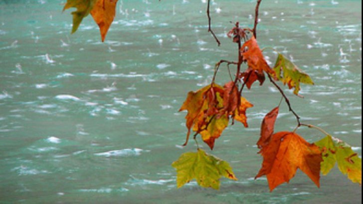 INFORMARE METEO de VREME REA. Cod Portocaliu şi Galben - ploi ABUNDENTE, ninsori la munte