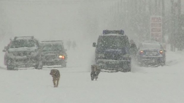 PROGNOZA METEO pentru URMĂTOARELE ZILE. Vremea se va răci în toată ţara, ninsori şi temperaturi scăzute