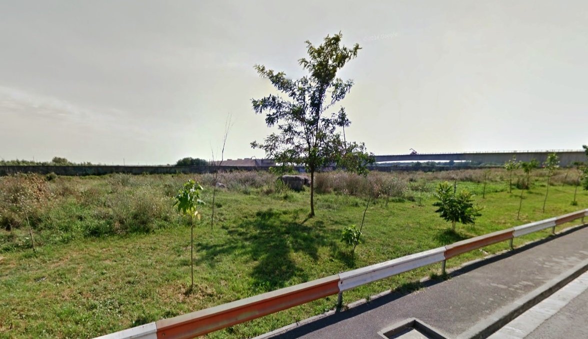 Terenul viran de lângă autostradă, din cartierul Alfa, devine parc. Peste 1.000 de copaci vor fi plantați