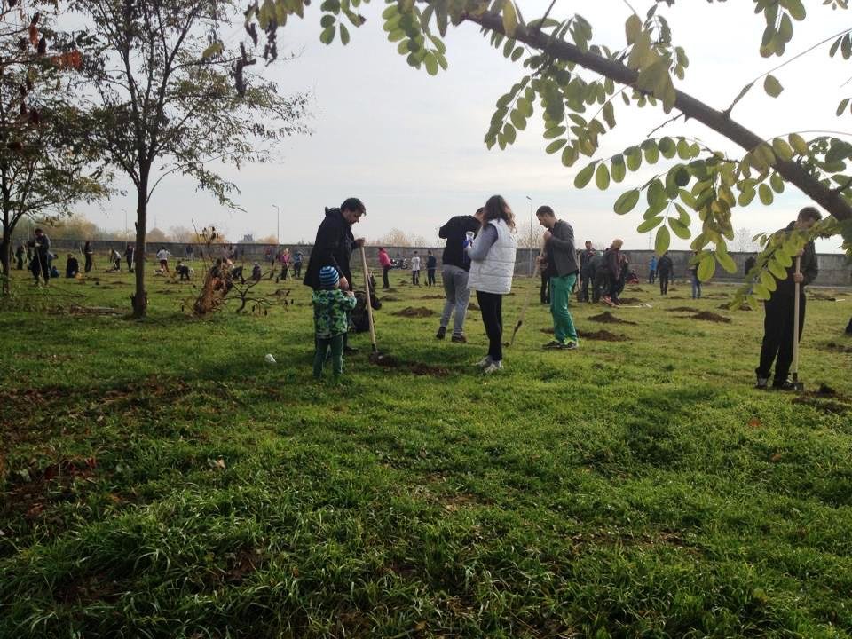 FOTO | Pădurice în cartierul Alfa. Peste 200 de voluntari de toate vârstele au sădit copaci