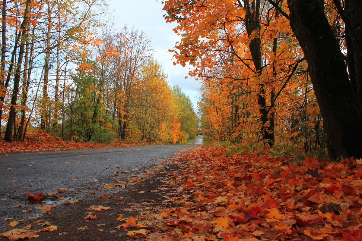 PROGNOZA METEO. Veşti bune de la meteorologi. Vremea se menţine caldă