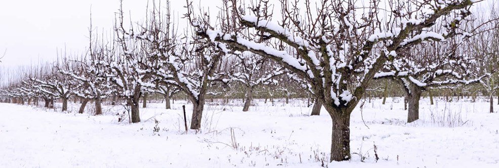 Prognoza meteo pe următoarele trei zile. Cum va arăta vremea la începutul săptămânii viitoare