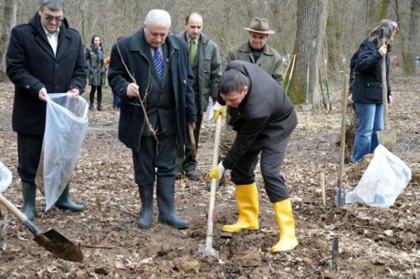 „Luna Plantării Arborilor” cu Direcţia Silvică Arad