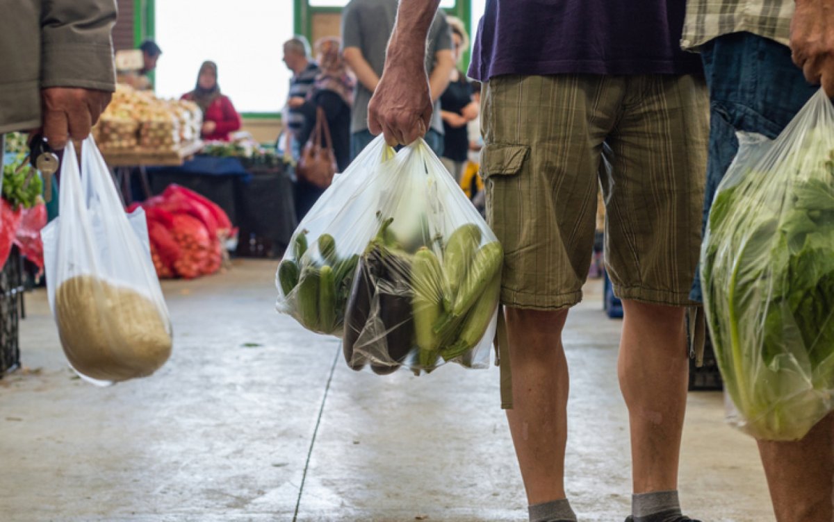 Adio, pungi de plastic! Legea a fost promulgată. Când va intra în vigoare