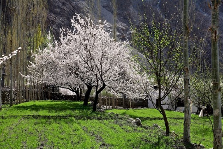 Cum va fi vremea în noaptea de Înviere şi în zilele de Paşte