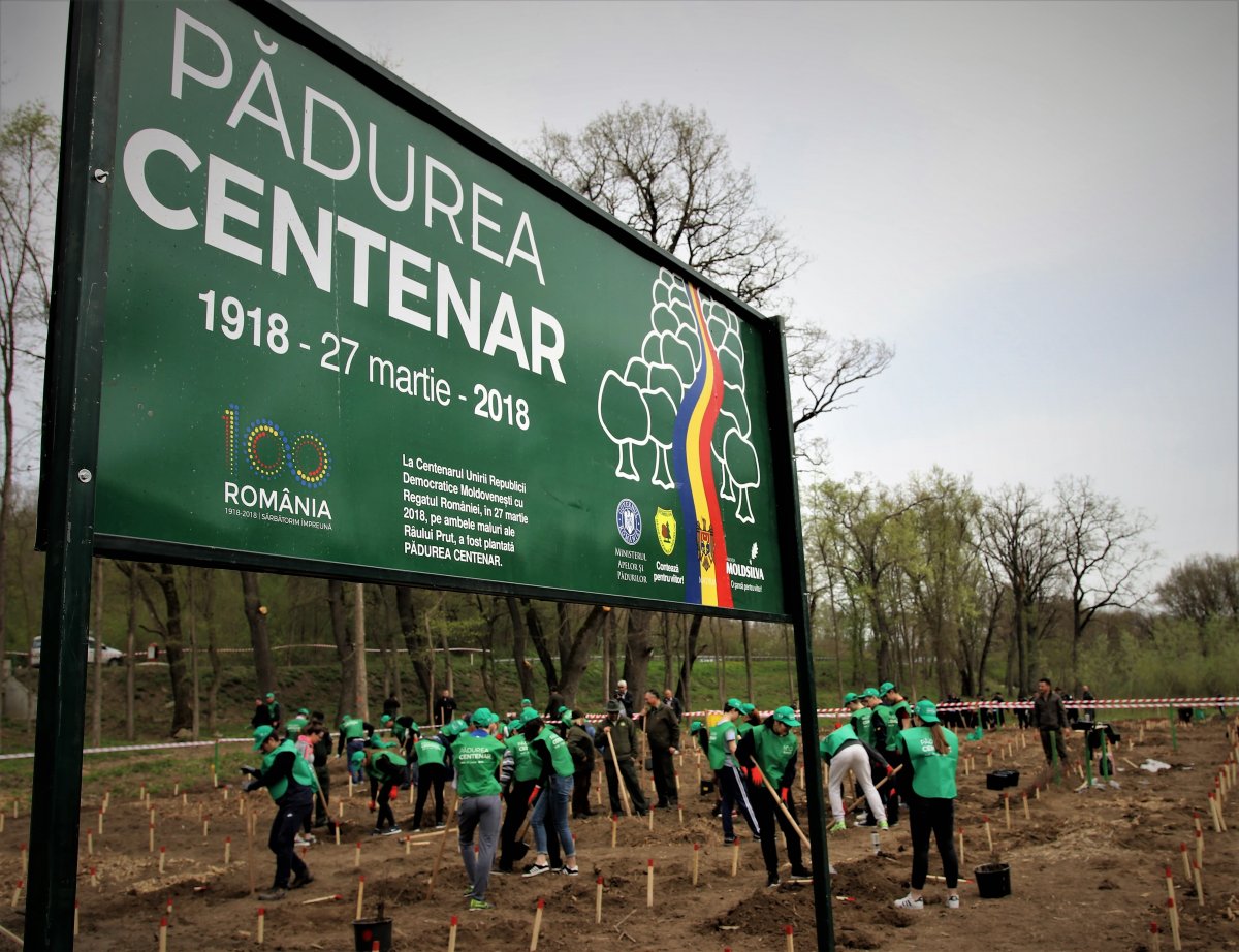 Silvicultori din România și Republica Moldova au marcat Centenarul Marii Uniri prin plantarea unei păduri memoriale pe malurile Prutului