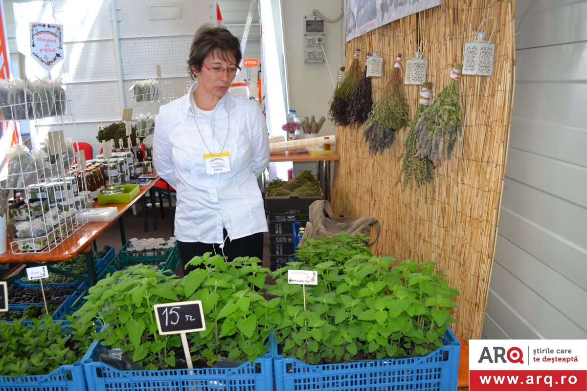 Târgul Primăverii s-a deschis joi la Expo Arad, cu voie bună și culoare!