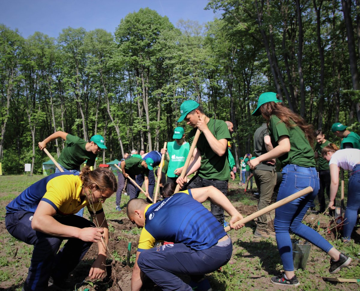 Stejarii României și silvicultorii Romsilva au plantat împreună stejari la Brănești