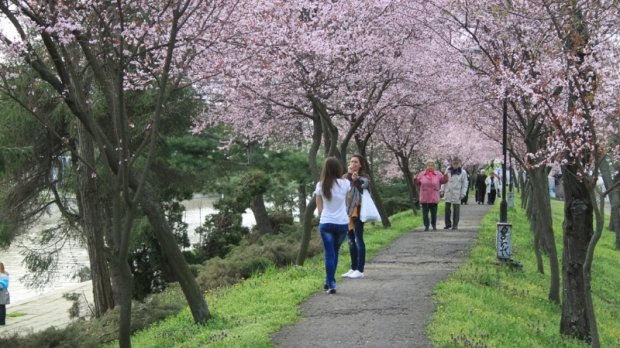 PROGNOZA METEO pentru următoarele zile: Temperaturi de august la final de aprilie 