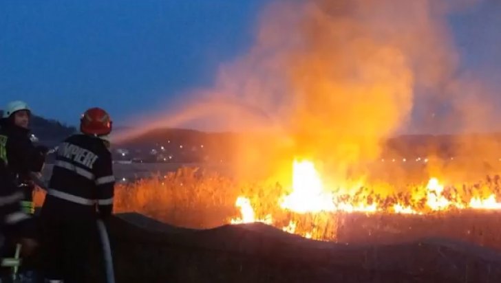 Incendiu de amploare în zona Cetăţii Poenari! Circulația pe Transfăgărășan, oprită pe ambele sensuri