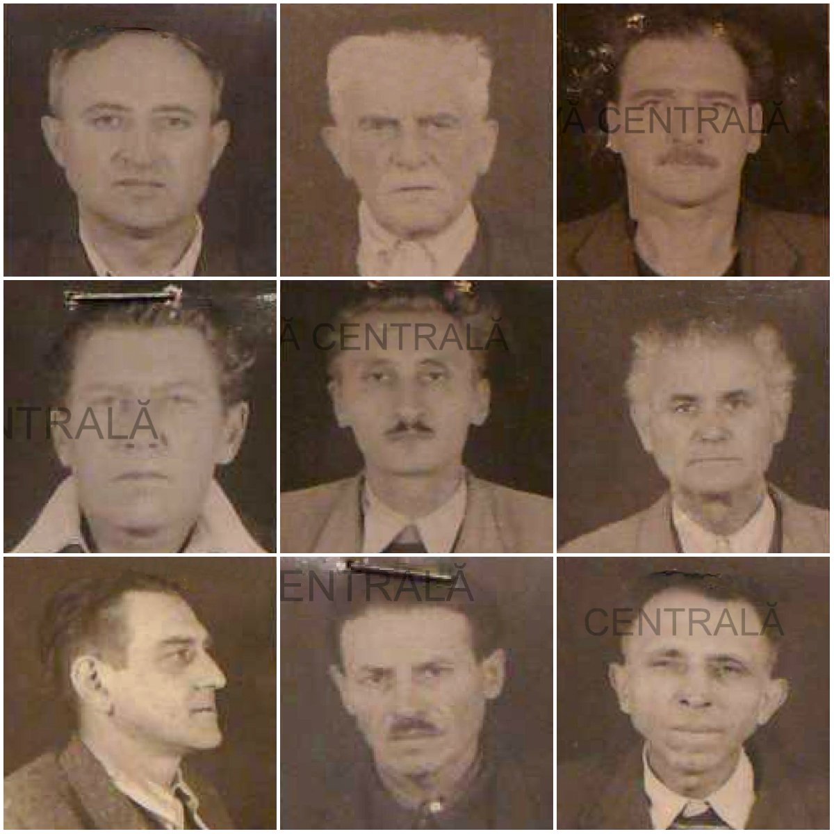 Investigații Arad. Acțiune de deshumare a 10 persoane condamnate la moarte și executate la 1 septembrie 1958