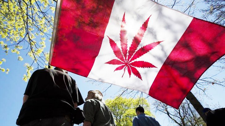 Canada a legalizat consumul de marijuana în scop recreaţional