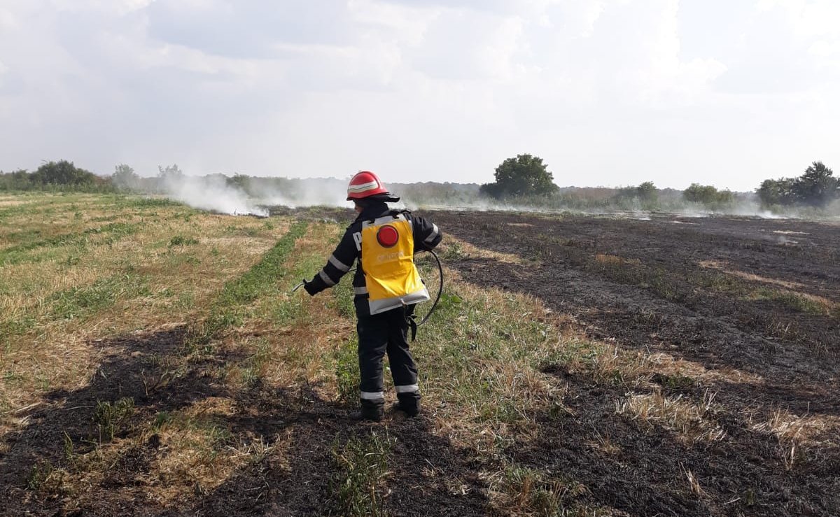 Incendiu vegetație uscată în zona Aeroportului