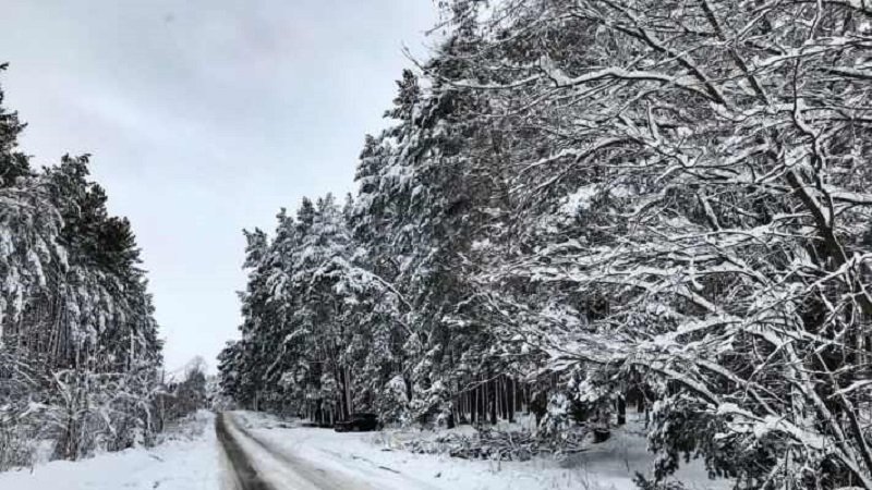 Primele ninsori în România, se trece de la vară direct la iarnă. Un ciclon polar va afecta ţara noastră