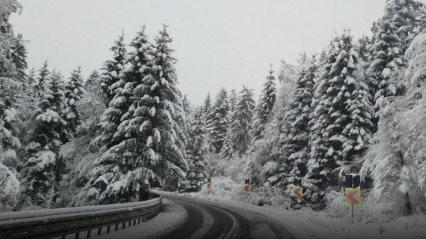 Vreme de iarnă în România. Trei zile de frig în toată ţara, ninsori şi viscol la munte. Meteorologii au emis noi alerte