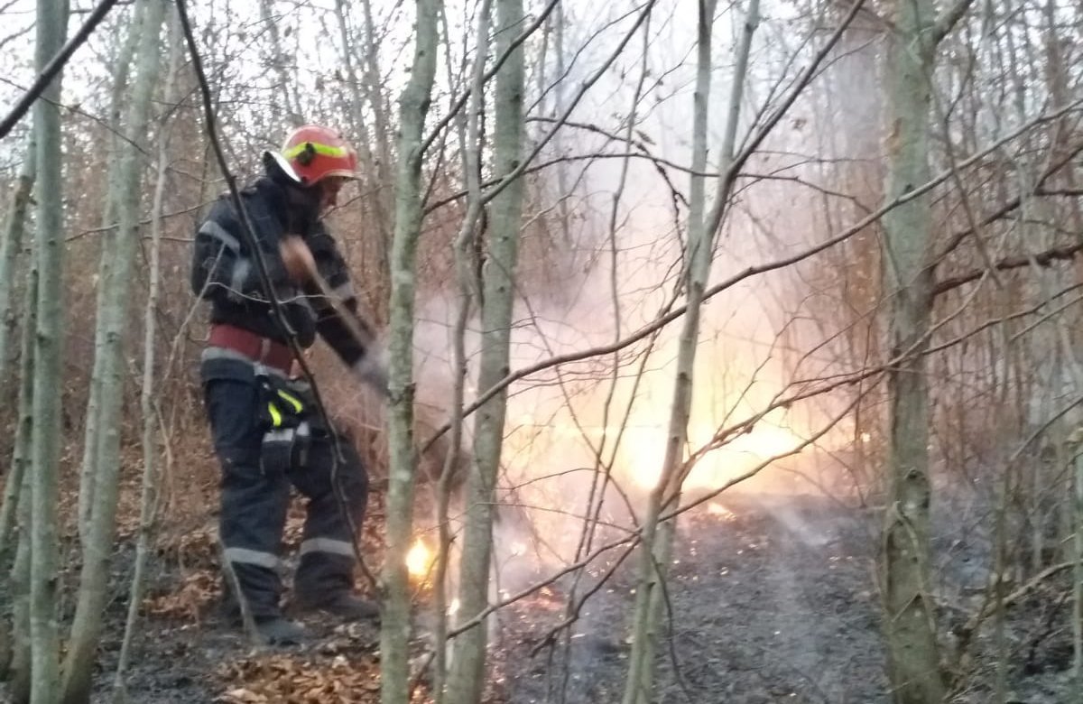 INCENDIU VEGETAȚIE USCATA ȘI LITIERA IN LOCALITATEA VIDRA