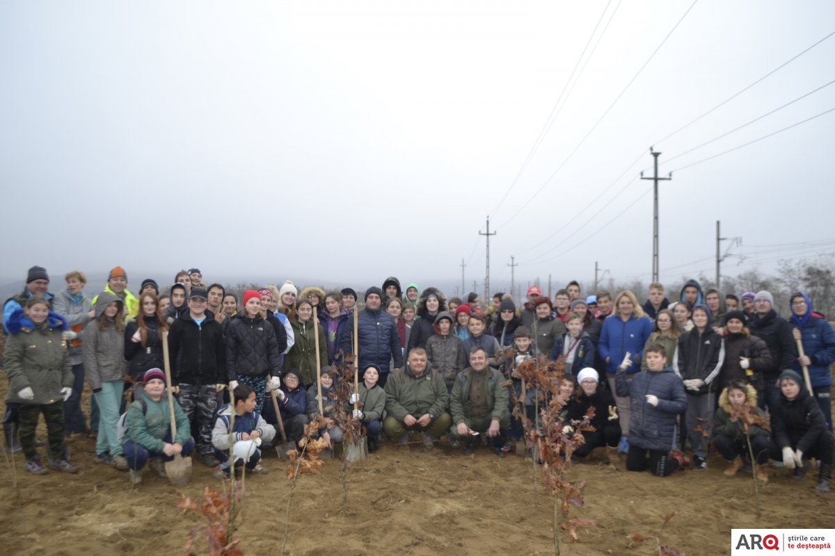 Pădure Centenară plantată la Ghioroc